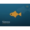Ventresca de bacalao 300 g | Bacalao Maribel